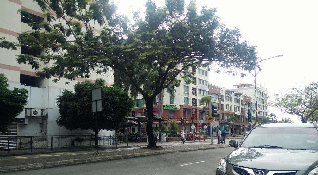 Albergue Escape Backpackers Kk Kota Kinabalu Exterior foto